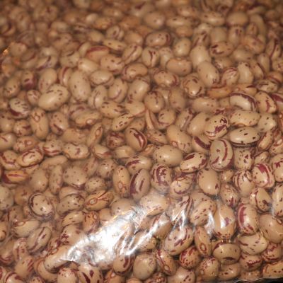 Rose coco Beans